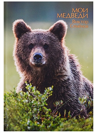 Семенов В. Мои медведи наклейки бумажные белые медведи