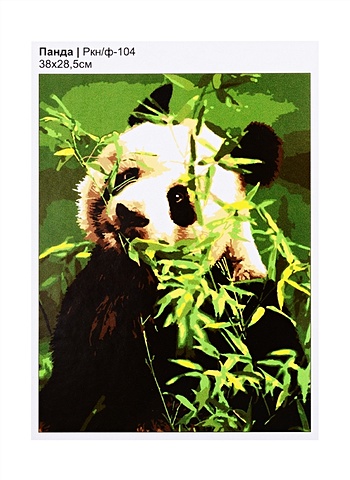 раскраска по номерам на картоне милая панда 20х30 см Картина по номерам на картоне Панда