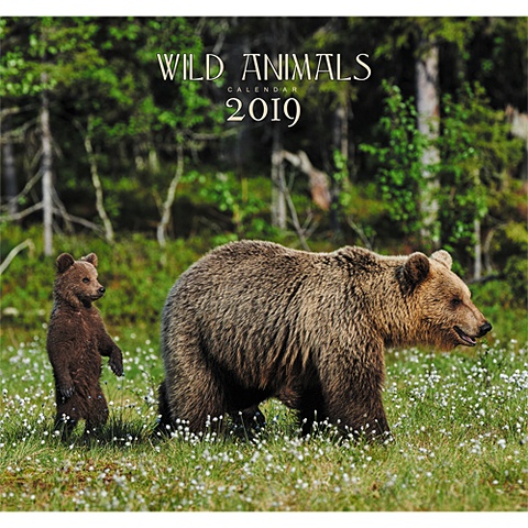 Дикие животные. Медведи в лесу ***КАЛЕНДАРИ 2019_ НАСТЕННЫЕ ПЕРЕКИДНЫЕ дикие животные панда календари 2019 настенные перекидные