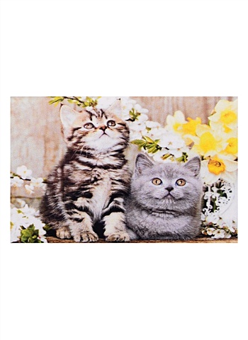 Алмазная мозаика "Котята в цветах", 17 х 22 см