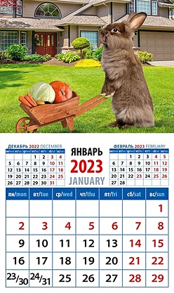 Календарь магнитный на 2023 год Год кролика. Хороший урожай