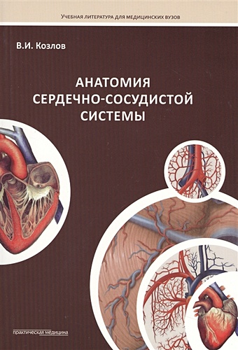 Козлов В. Анатомия сердечно-сосудистой системы. Учебное пособие козлов в гурова о анатомия мышц учебное пособие