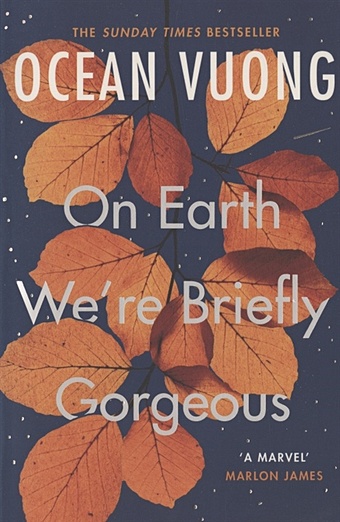 Vuong O. On Earth Were Briefly Gorgeous a short history of the vietnam war