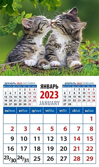 Календарь магнитный на 2023 год Год кота. Кошачьи нежности