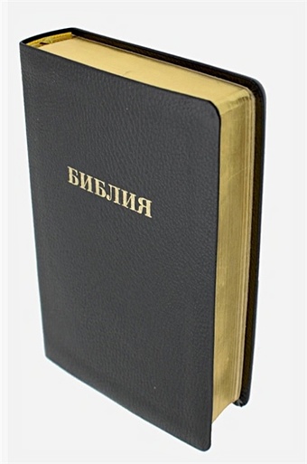 Библия 057 MG ИИЖ (Черный) библия книги священного писания ветхого и нового завета синодальный перевод 1876 года