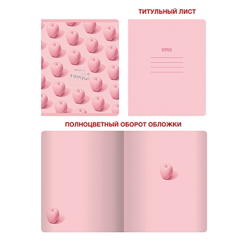 Тетрадь предметная по химии «Розовые мечты», 48 листов тетрадь предметная по русскому языку розовые мечты 48 листов