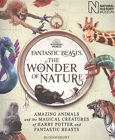 Fantastic Beasts: The Wonder of Nature. Amazing Animals and the Magical Creatures of Harry Potter and Fantastic Beasts the natural history book