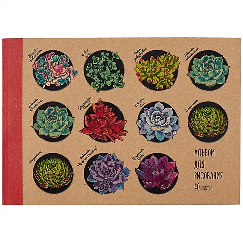 Альбом для рисования 40л А4 Коллекция цветов склейка, крафт-картон, выб. лак