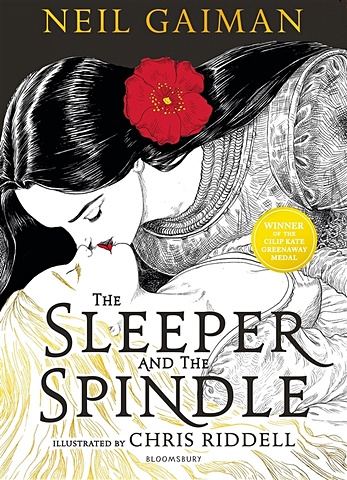Gaiman N. The Sleeper and the Spindle riddell chris guardians of magic