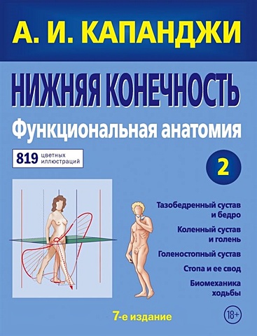 Капанджи Адальберт Ибрагим Нижняя конечность: Функциональная анатомия (обновленное издание)