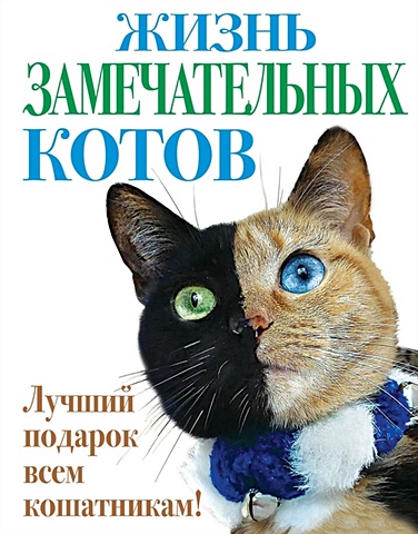 Жизнь замечательных котов николай голь жизнь замечательных слов беллетризованная этимологическая малая энциклопедия