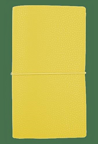 Записная книжка, InFolio/Инфолио, 12х21см, 128стр., Palette суперобложка с резинкой, желтый