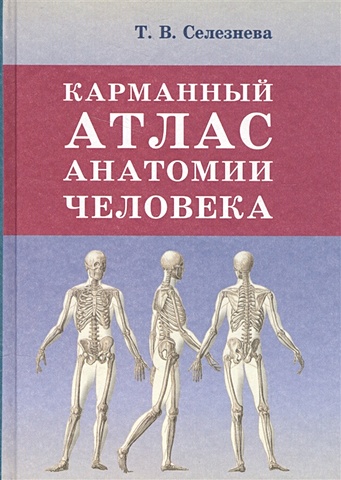 Селезнева Т. Карманный атлас анатомии человека карманный атлас анатомии человека