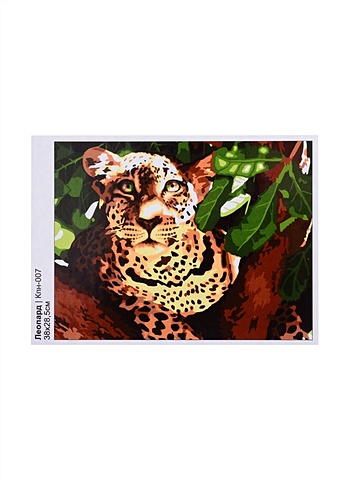 Набор для творчества LORI. Картина по номерам Леопард набор для творчества lori картина по номерам сова