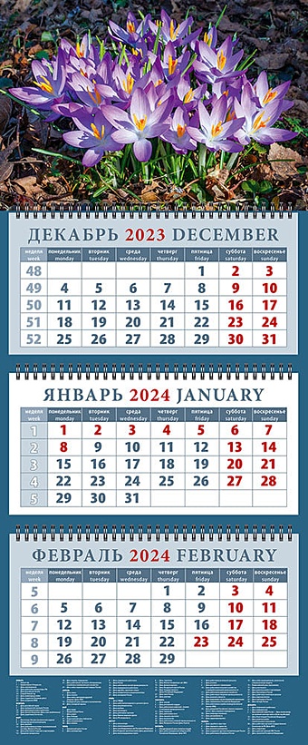 Календарь квартальный 2024г 320*760 Весенние крокусы настенный, трёхблочный, спираль крокусы крупноцветковые blue 10шт