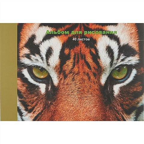 Альбом для рисования 40л А4 Тигр склейка, мат. лам
