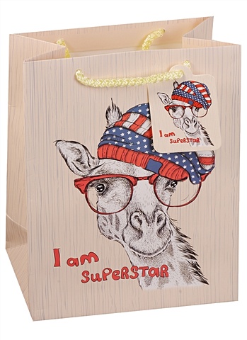 пакет подарочный бумажный а5 18 23 10 cовы owls mini дет мат ламинат kairui Пакет подарочный бумажный А5 Super star, детский