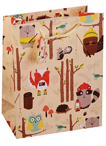 Пакет подарочный бумажный А4 Funny zoo, детский пакет подарочный бумажный а4 26 32 12 5 садовый букет жен мат ламинат kairui