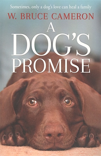 Cameron W. A Dog’s Promise