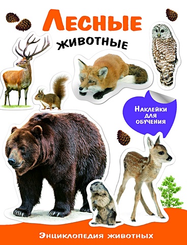ЭНЦИКЛОПЕДИЯ ЖИВОТНЫХ С НАКЛ. Лесные животные лесные животные энциклопедия для детей