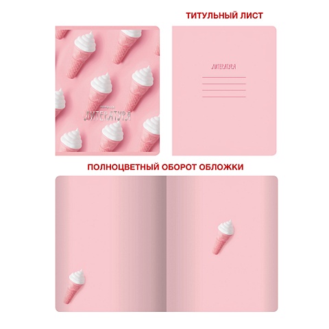Тетрадь предметная по литературе «Розовые мечты», 48 листов тетрадь предметная по русскому языку розовые мечты 48 листов