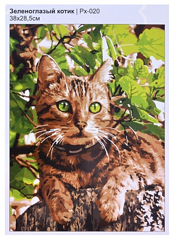 Картина по номерам на холсте Зеленоглазый котик, 30 х 40 см картина по номерам на холсте undertale фриск 4 60 х 40