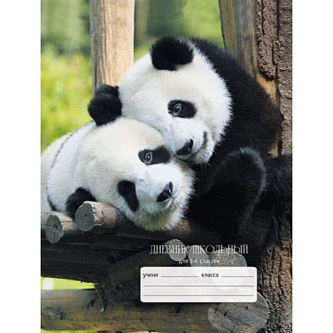 Милые панды ДНЕВНИКИ (ИНТЕГРАЛЬНЫЙ ПЕРЕПЛЕТ) для младших классов милые панды графика дневники переплет 7бц с поролоном для младших классов