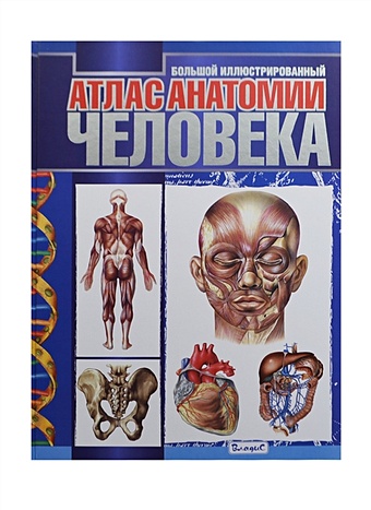 Спивак А., Афанасьев С., Феданова Ю. (ред.) Большой иллюстрированный атлас анатомии человека