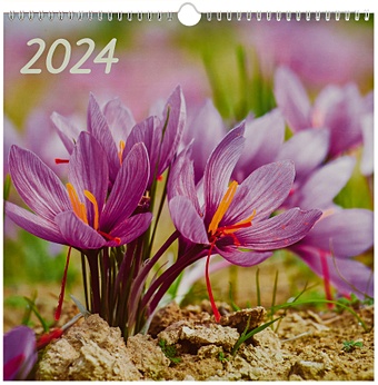 цена Календарь 2024г 320*320 Цветы. 7 настенный, на спирали