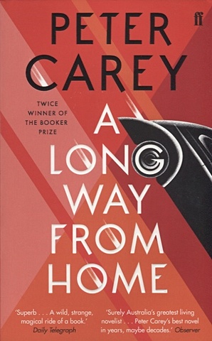 Carey P. A Long Way From Home martinez aly from the embers