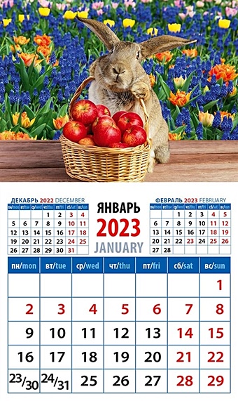 Календарь магнитный на 2023 год Год кролика. Наливные яблочки