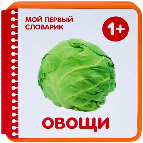 краснушкина е е мой первый словарик eva овощи Краснушкина Е. Е. Мой первый словарик. Овощи (EVA)