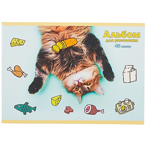 Альбом для рисования Мечты кота, А4, 40 листов