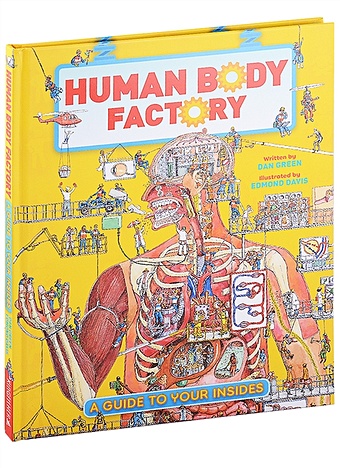 Green D. The Human Body Factory. A Guide To Your Insides michael p clark keep in step with the holy spirit