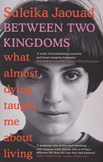 Jaouad S. Between Two Kingdoms. What almost dying taught me about living
