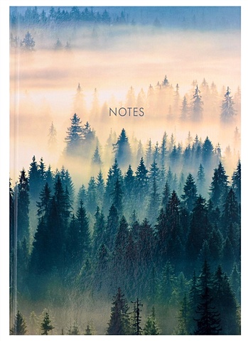 Книга для записей А4 100л кл. Туманный лес 7БЦ, глянц.ламинация