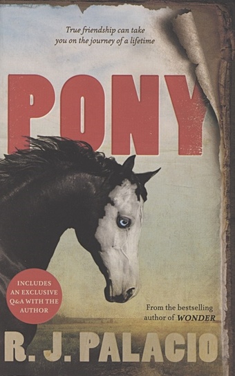 R. J. Palacio Pony palacio r j pony