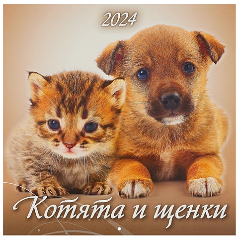 Календарь 2024г 285*285 Котята и щенки настенный, на скрепке