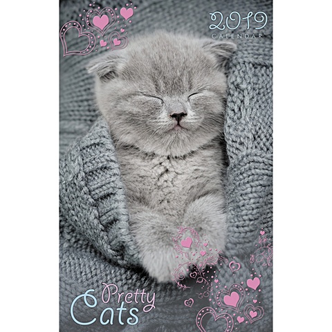 Домашние любимцы. Спящий котенок ***КАЛЕНДАРИ 2019_ НАСТЕННЫЕ ПЕРЕКИДНЫЕ домашние любимцы котенок на дереве календари 2019 настенные перекидные