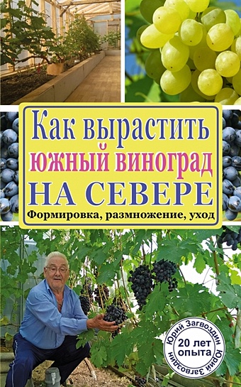 Загвоздин Юрий Максимович Как вырастить южный виноград на севере
