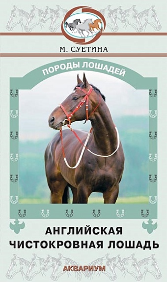 Суетина. М.Ю. Английская чистокровная лошадь красавица лошадь английская чистокровная кобыла