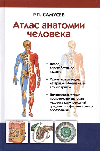 Самусев Рудольф Павлович Атлас анатомии человека. Учебное пособие для студентов учреждений среднего профессионального образования самусев рудольф павлович сентябрев николай николаевич атлас анатомии и физиологии человека учебное пособие для студентов учреждений спо