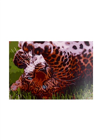 цена Раскраска по номерам на картоне А3 Игривый леопард, 30 х 40 см