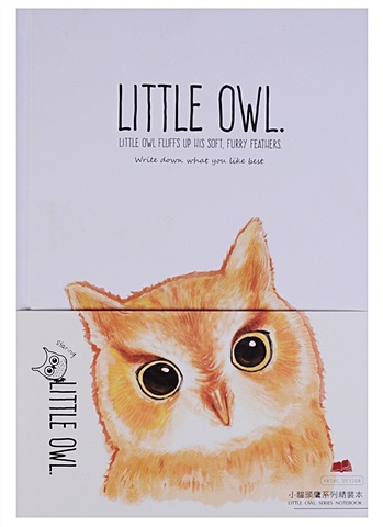 little owl little owl can t you sleep Блокнот Little owl