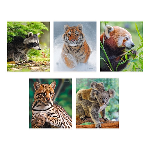 В мире животных в мире животных 205 наклеек