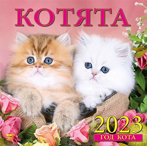 Календарь настенный на 2023 год Год кота. Котята цена и фото