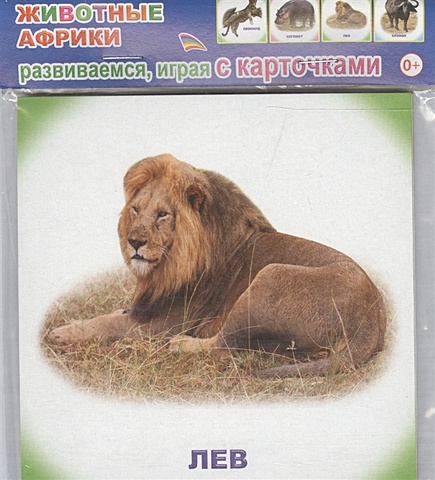 дидактические карточки животные африки Обучающие карточки. Животные Африки