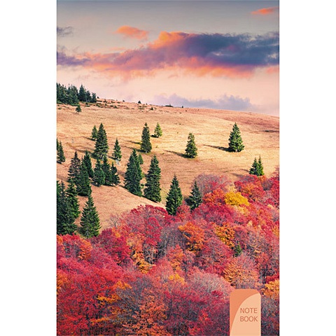 Осенний пейзаж КНИГИ ДЛЯ ЗАПИСЕЙ А5 (7БЦ) пейзаж зеленая долина книги для записей а5 7бц
