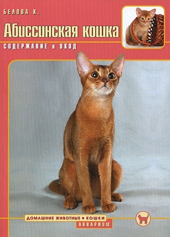Белова К. А. Абиссинская кошка : содержание и уход кизельбах доминик сиамская кошка содержание и уход