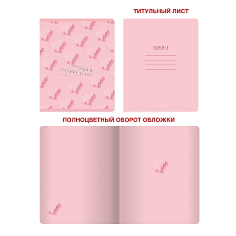 Тетрадь предметная по геометрии «Розовые мечты», 48 листов тетрадь предметная по русскому языку розовые мечты 48 листов